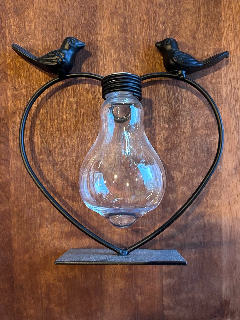 🖤 Desktop Propagation Bulb Vase